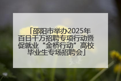 邵阳市举办2025年百日千万招聘专项行动暨促就业“金桥行动”高校毕业生专场招聘会