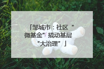 邹城市：社区“微基金”撬动基层“大治理”