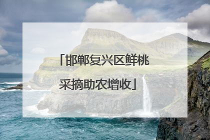 邯郸复兴区鲜桃采摘助农增收