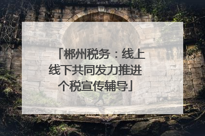 郴州税务：线上线下共同发力推进个税宣传辅导