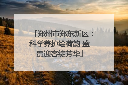 郑州市郑东新区：科学养护绘荷韵 盛景迎客绽芳华