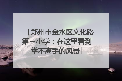 郑州市金水区文化路第三小学：在这里看到拳不离手的风景