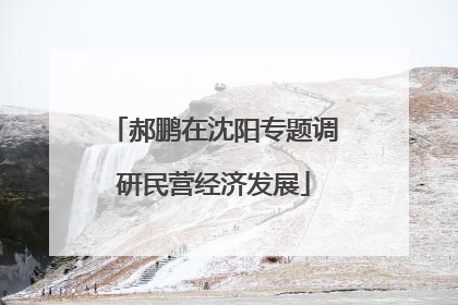 郝鹏在沈阳专题调研民营经济发展