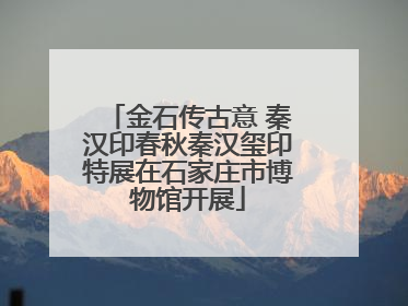 金石传古意 秦汉印春秋秦汉玺印特展在石家庄市博物馆开展