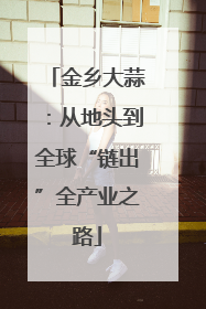 金乡大蒜：从地头到全球“链出”全产业之路