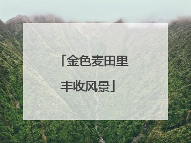 金色麦田里丰收风景