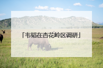 韦韬在杏花岭区调研