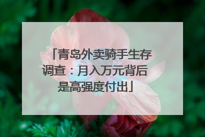 青岛外卖骑手生存调查：月入万元背后是高强度付出