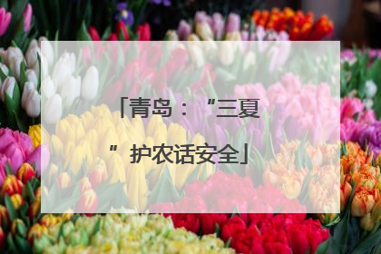 青岛：“三夏”护农话安全