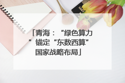青海：“绿色算力”锚定“东数西算”国家战略布局