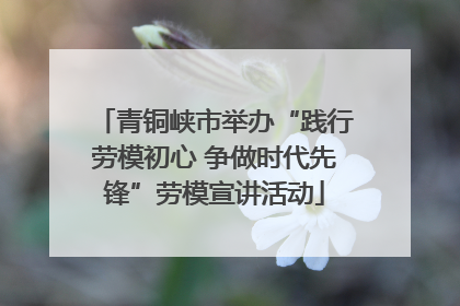 青铜峡市举办“践行劳模初心 争做时代先锋”劳模宣讲活动