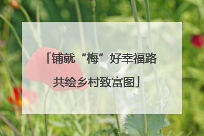 铺就“梅”好幸福路 共绘乡村致富图