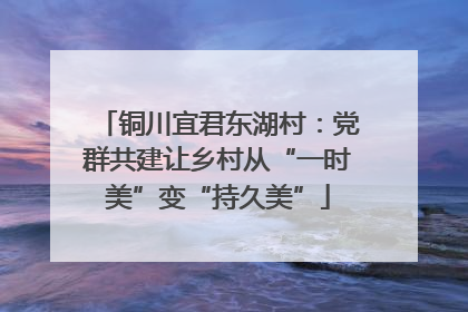 铜川宜君东湖村：党群共建让乡村从“一时美”变“持久美”