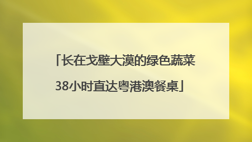 长在戈壁大漠的绿色蔬菜38小时直达粤港澳餐桌