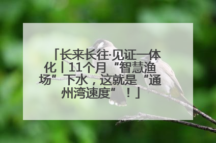 长来长往·见证一体化丨11个月“智慧渔场”下水，这就是“通州湾速度”！
