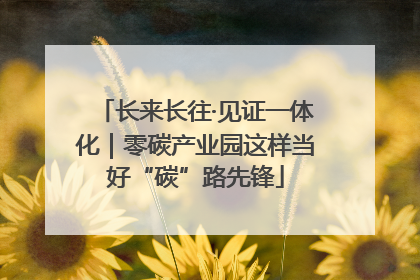 长来长往·见证一体化｜零碳产业园这样当好“碳”路先锋
