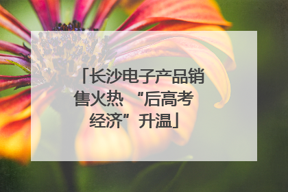 长沙电子产品销售火热 “后高考经济”升温