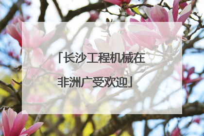 长沙工程机械在非洲广受欢迎