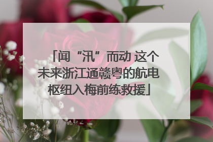 闻“汛”而动 这个未来浙江通赣粤的航电枢纽入梅前练救援