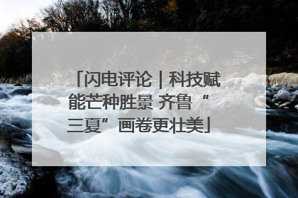 闪电评论｜科技赋能芒种胜景 齐鲁“三夏”画卷更壮美