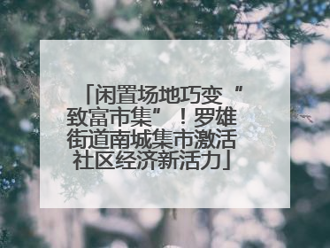 闲置场地巧变“致富市集”！罗雄街道南城集市激活社区经济新活力