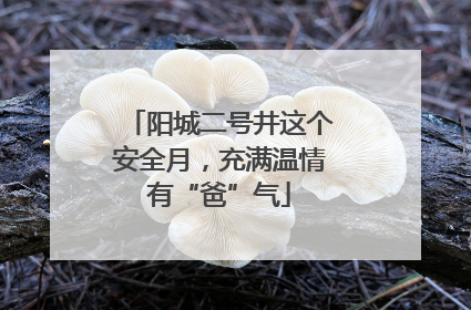 阳城二号井这个安全月，充满温情有“爸”气