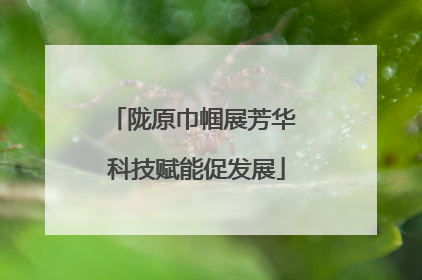陇原巾帼展芳华 科技赋能促发展
