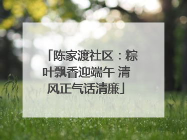 陈家渡社区：粽叶飘香迎端午 清风正气话清廉