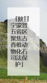 陕甘宁蒙晋五省区聚焦古脊椎动物化石司法保护