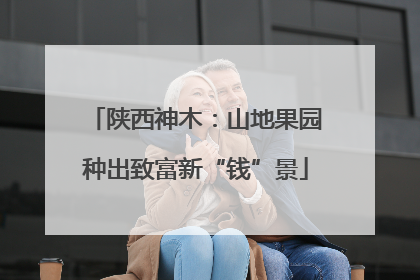 陕西神木：山地果园种出致富新“钱”景