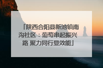 陕西合阳县新池镇南沟社区：葡萄串起振兴路 聚力同行显效能