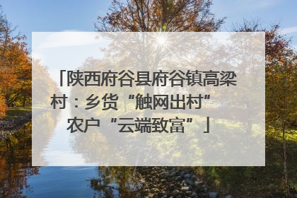 陕西府谷县府谷镇高梁村：乡货“触网出村” 农户“云端致富”