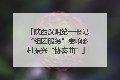 陕西汉阴第一书记“组团服务”奏响乡村振兴“协奏曲”