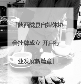 陕西陇县自媒体协会挂牌成立 开启行业发展新篇章