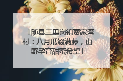 随县三里岗镇贾家湾村：八月瓜缀满藤，山野孕育甜蜜希望
