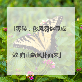 零陵：移风易俗显成效 岿山新风扑面来