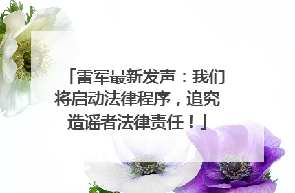 雷军最新发声：我们将启动法律程序，追究造谣者法律责任！