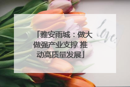 雅安雨城：做大做强产业支撑 推动高质量发展