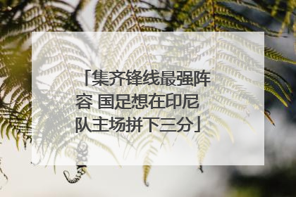 集齐锋线最强阵容 国足想在印尼队主场拼下三分