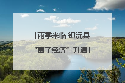 雨季来临 镇沅县“菌子经济”升温
