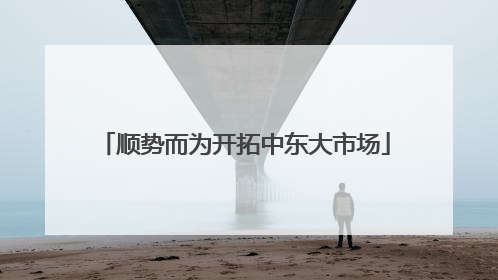 顺势而为开拓中东大市场