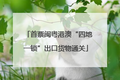 首票闽粤港澳“四地一锁”出口货物通关