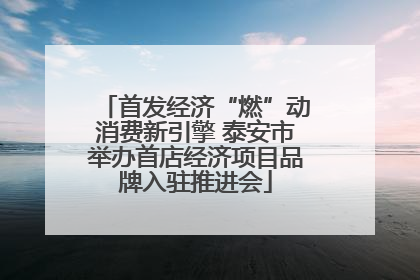首发经济“燃”动消费新引擎 泰安市举办首店经济项目品牌入驻推进会