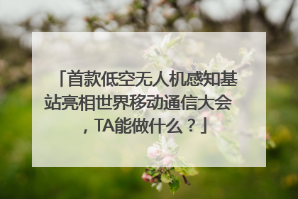 首款低空无人机感知基站亮相世界移动通信大会，TA能做什么？