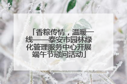 香粽传情，温暖一线——泰安市园林绿化管理服务中心开展端午节慰问活动