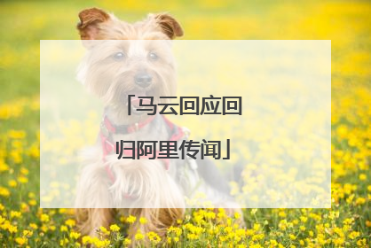 马云回应回归阿里传闻