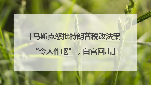 马斯克怒批特朗普税改法案“令人作呕”，白宫回击