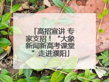 高招宣讲 专家支招！“大象新闻新高考课堂”走进濮阳