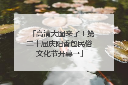 高清大图来了！第二十届庆阳香包民俗文化节开幕→