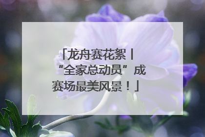 龙舟赛花絮丨 “全家总动员”成赛场最美风景！